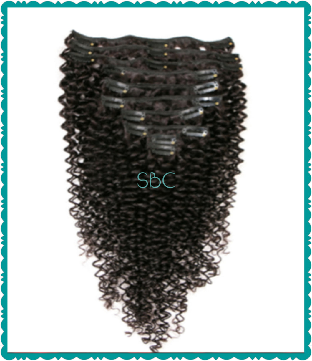 Clip-Ins (Natural Color)